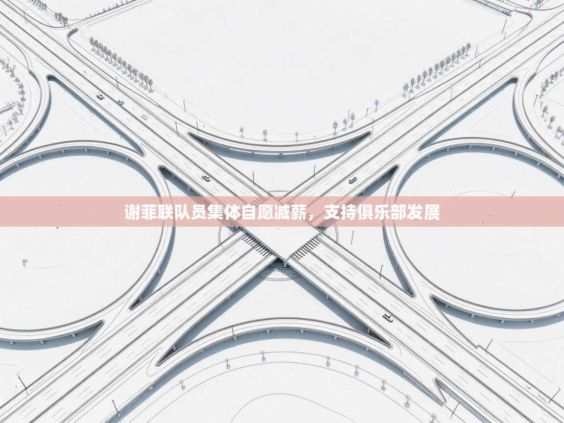 谢菲联队员集体自愿减薪，支持俱乐部发展  第1张