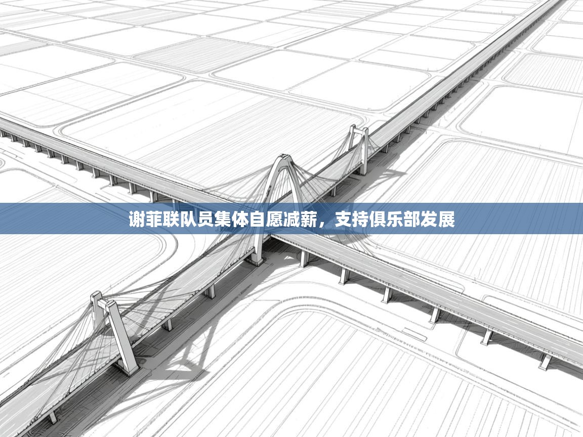 谢菲联队员集体自愿减薪，支持俱乐部发展  第2张