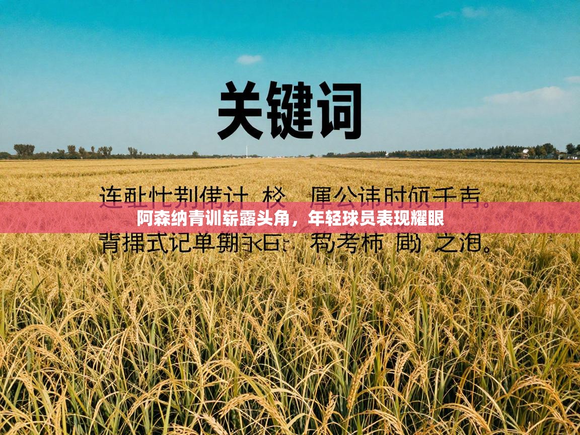 阿森纳青训崭露头角，年轻球员表现耀眼  第2张