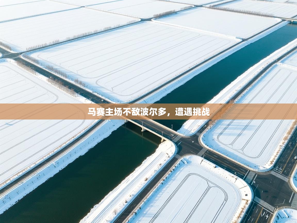 马赛主场不敌波尔多，遭遇挑战  第1张