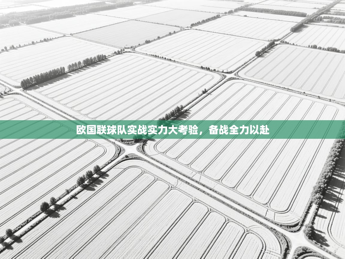 欧国联球队实战实力大考验，备战全力以赴  第1张