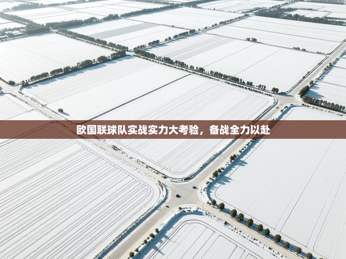 欧国联球队实战实力大考验，备战全力以赴  第2张