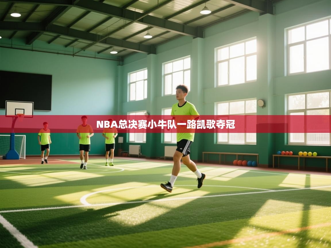 NBA总决赛小牛队一路凯歌夺冠 第1张
