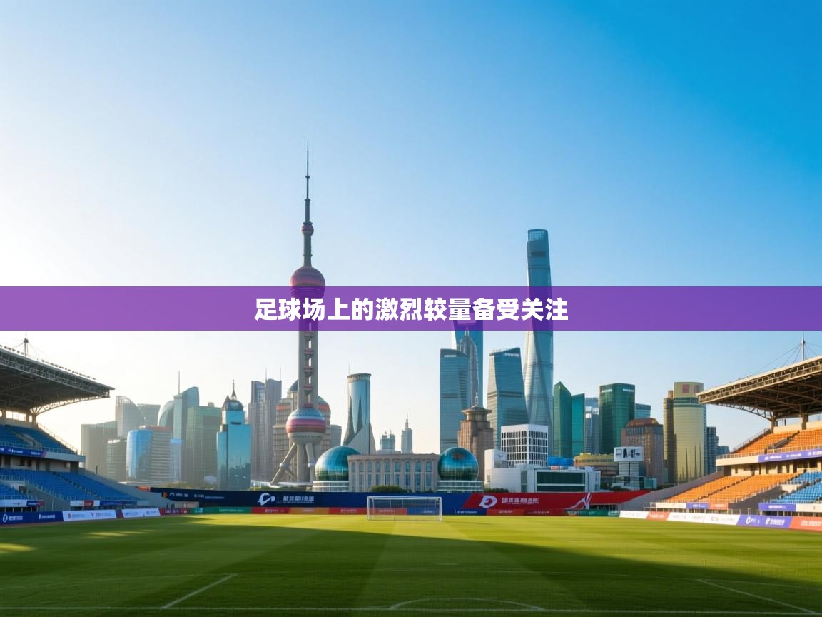 足球场上的激烈较量备受关注  第2张