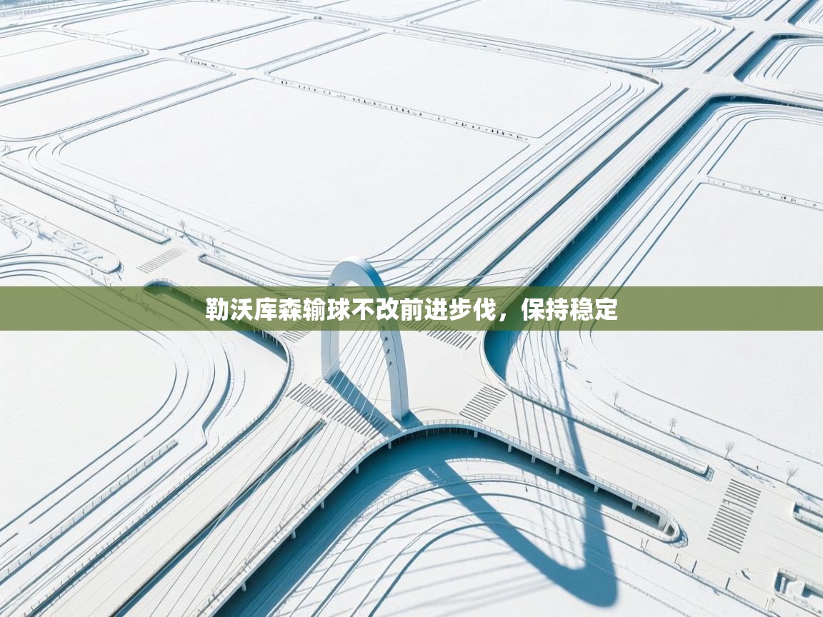 勒沃库森输球不改前进步伐,保持稳定 第2张