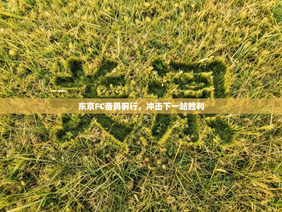 东京FC奋勇前行，冲击下一站胜利  第1张